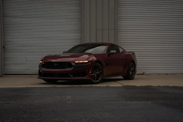 BlueLeo Casino Application Android/iOS